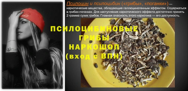 стаф Россошь