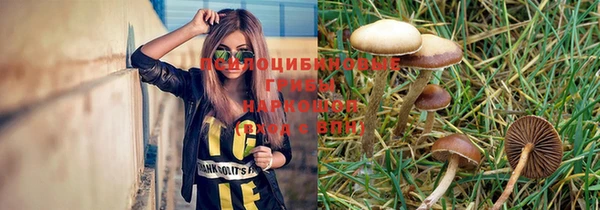СК Рославль